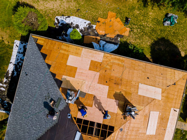 Best Roof Repair Services  in Dawson, GA