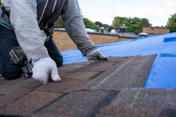 Best Residential Roofing Contractor  in Dawson, GA