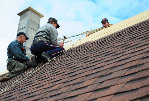 Roof Installation Near Me in Dawson, GA