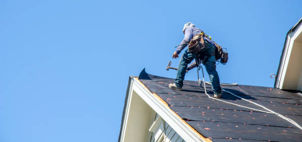 Best Gutter Installation and Roofing  in Dawson, GA